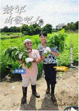 深夜厨房更新