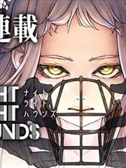 纸上月光更新